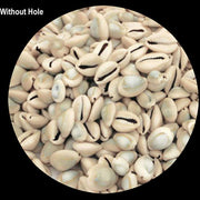 undrilled-500-pcs-package-genuine-cowrie-shells-for-craft-adornment-and-jewelry-making