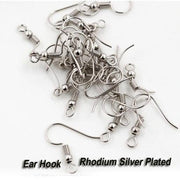 500/Pairs Pack,Ear Wire Hooks Findings Earring Making Ear Wire Hooks Stainless steel Plated